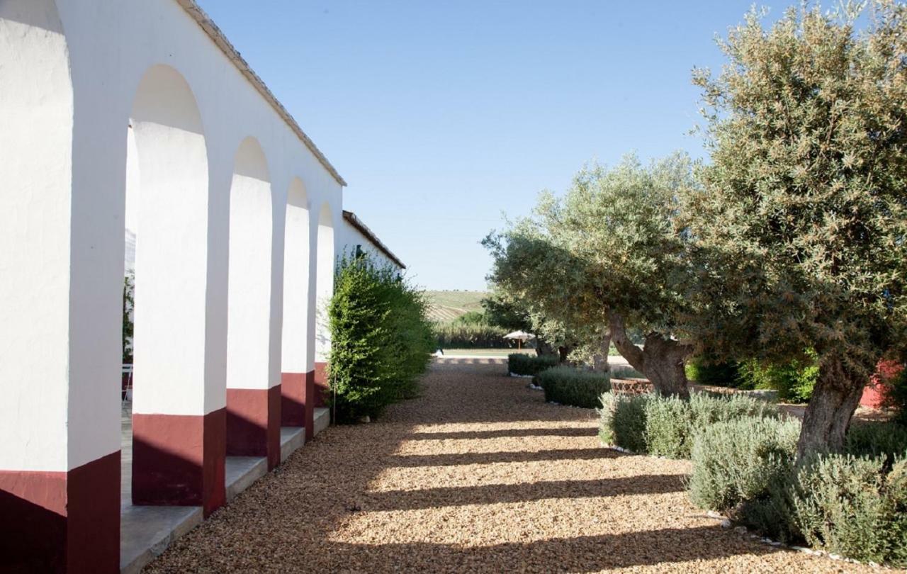 מלון פררה דו אלנטחו Quinta Da Chamine מראה חיצוני תמונה